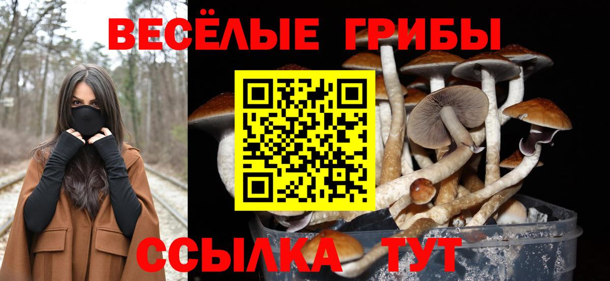 Галлюциногенные грибы Cubensis  Вход с VPN  Галлюциногенные грибы Magic Shrooms  Железноводск 