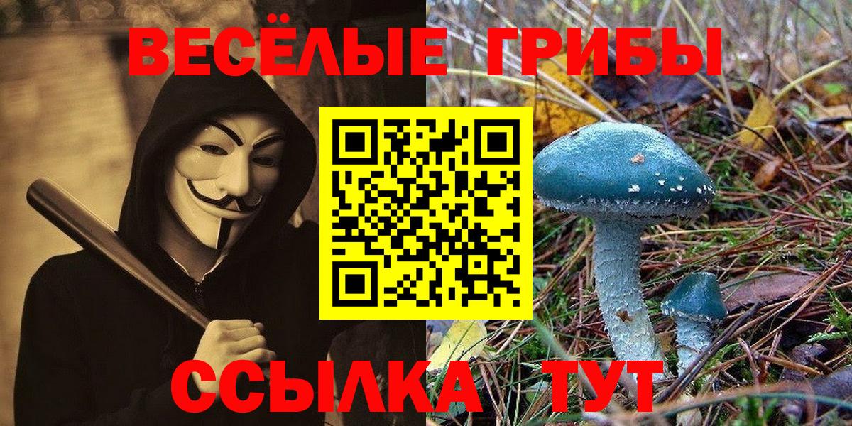 Галлюциногенные грибы MAGIC MUSHROOMS Железноводск